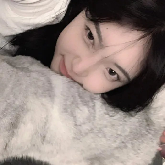 显而易见的傻瓜:电影版